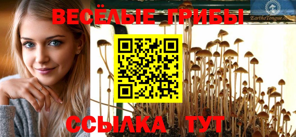 Тихорецк  Галлюциногенные грибы мицелий  Вход с VPN 