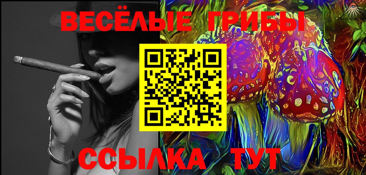 Псилоцибиновые грибы Cubensis Тихорецк